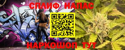 гидра Будённовск