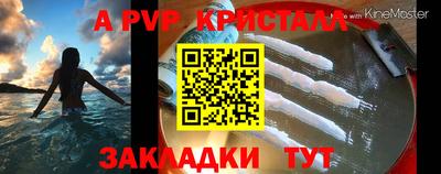 гидра Будённовск