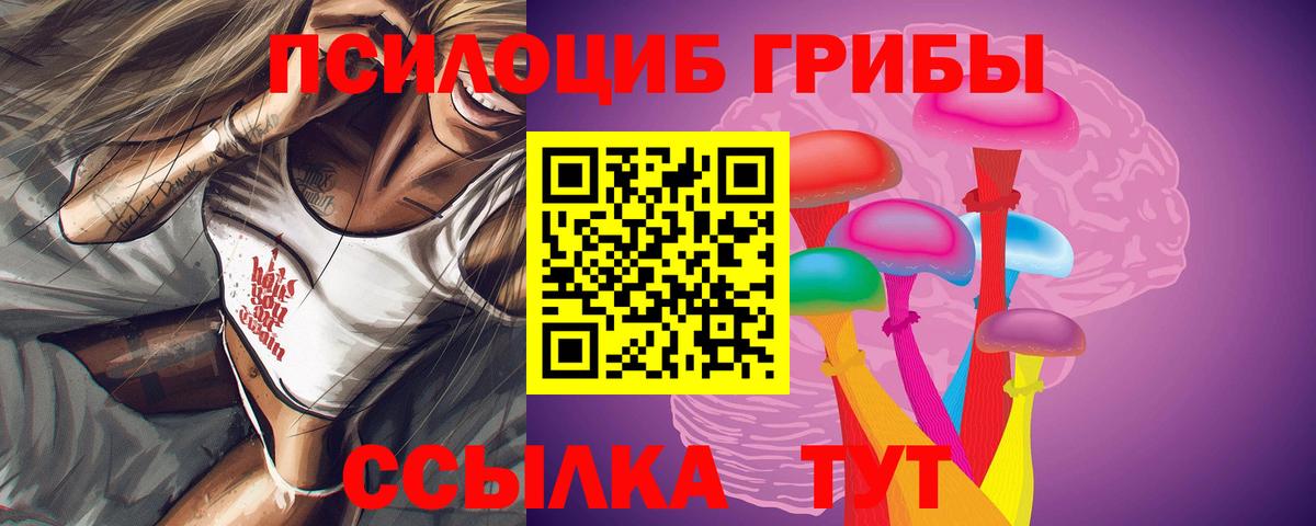 Псилоцибиновые грибы Psilocybine cubensis Ливны
