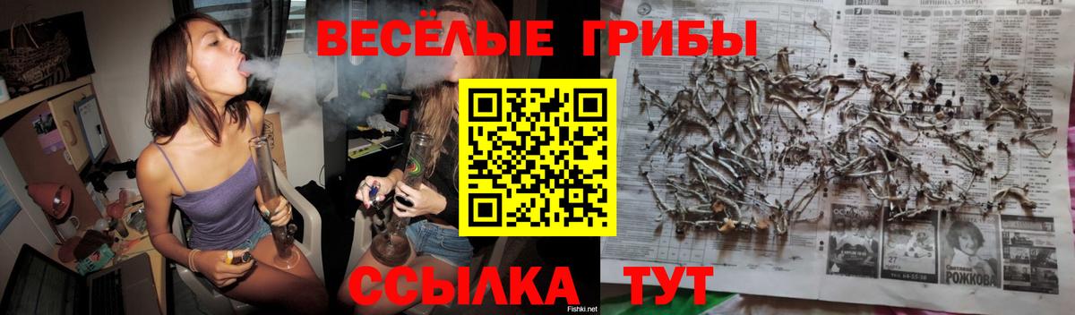 Ливны  Псилоцибиновые грибы прущие грибы  Вход с VPN  Псилоцибиновые грибы GOLDEN TEACHER 